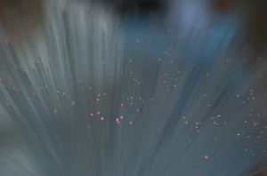 2791283248_8Fd67Fbb9E_B